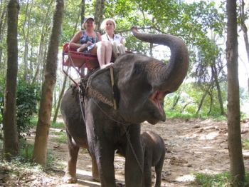Катание на слонах в Таиланде